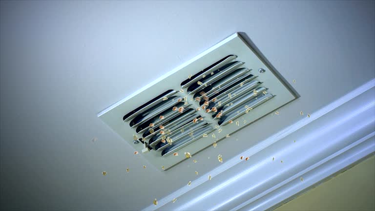 Best Affordable Duct Cleaning Services  in Los Lunas, NM