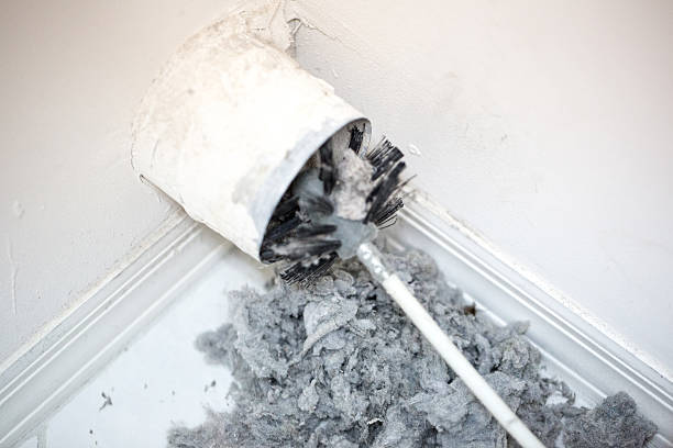 Best Air Vent Cleaning Services  in Los Lunas, NM